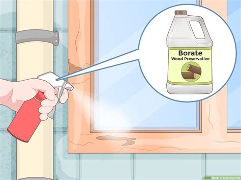 dry rot treatment screwfix